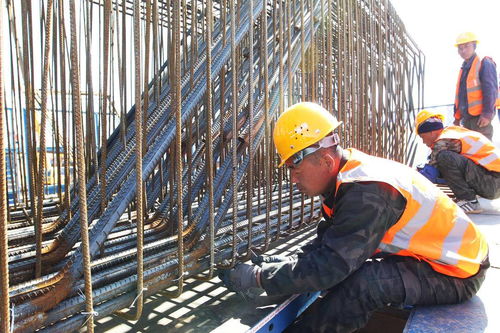 遼寧新阜高速建設(shè)正酣 建設(shè)工地施工忙而不亂